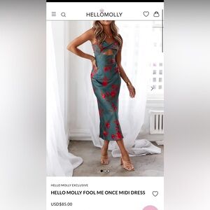 Hello Molly Teal and Red Floral Midi Dress